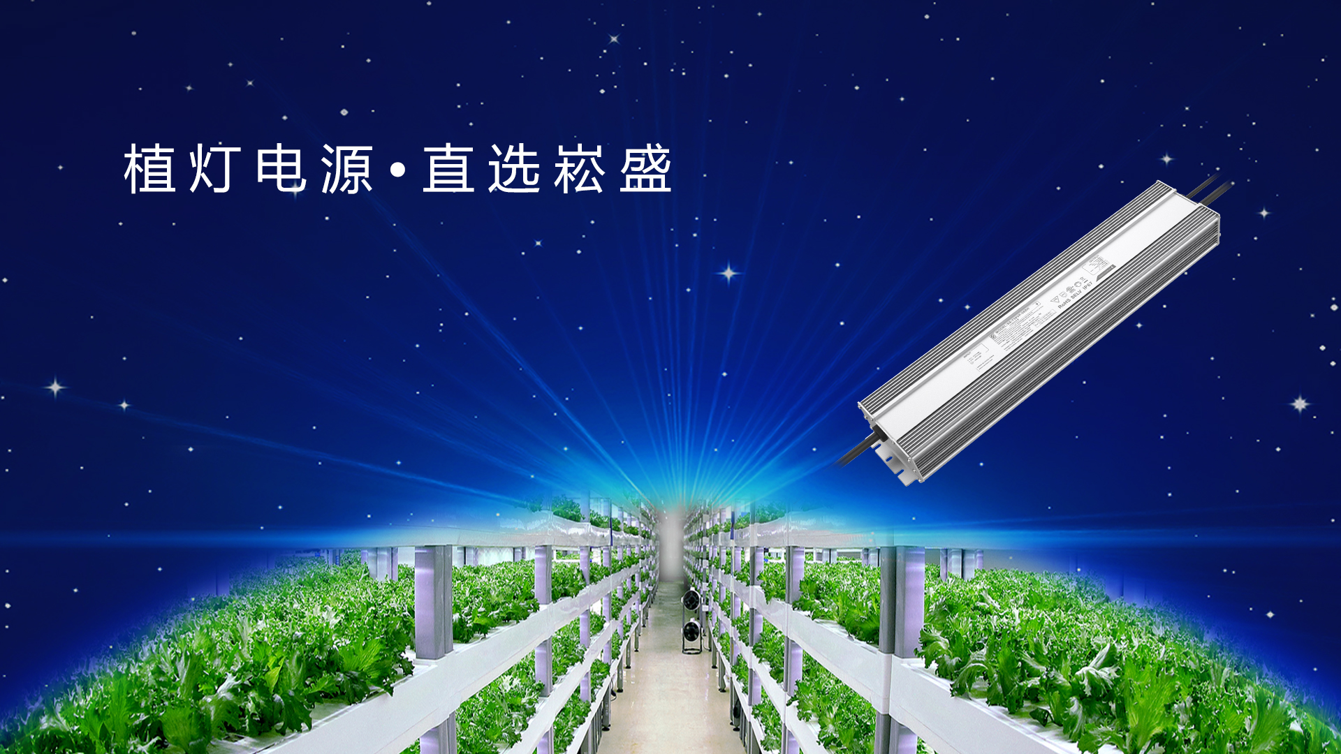 追光而行 ▏做植物照明驱动者，，，，让未来农业绽放无限可能